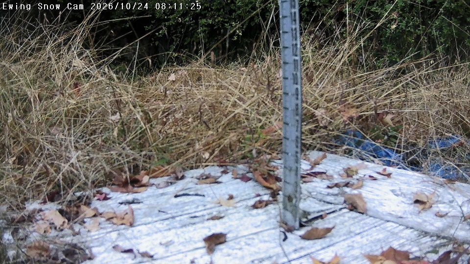 Trenton webcam