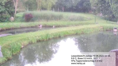 Leopoldsdorf Fish Pond Park Views