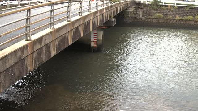 Shimeo lake Webcam