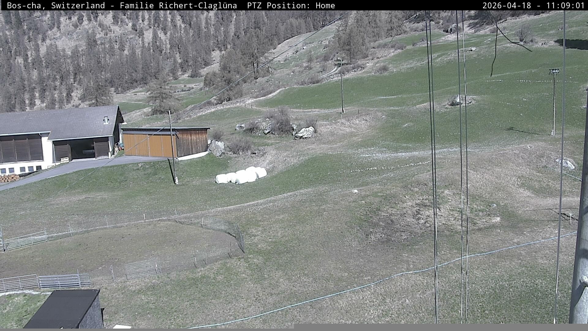 Bos-cha › Nordwesten