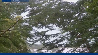 Cannonvale coast webcam