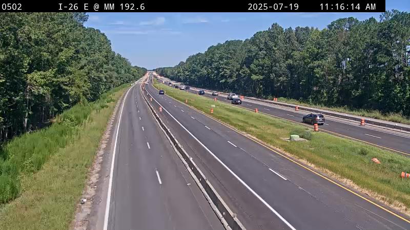 Traffic Cam New Hope: I-26 E @ MM 192.6