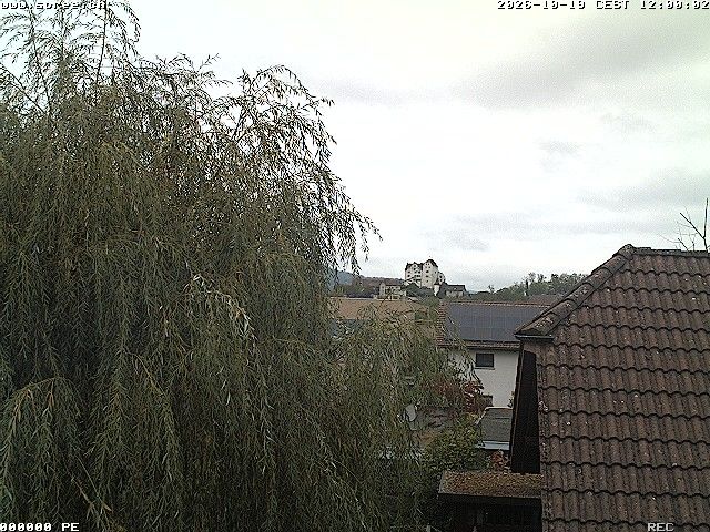 Möriken-Wildegg › Westen: Schloss Wildegg - Museum Aargau