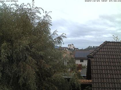 Möriken-Wildegg: Wetter in Möriken AG