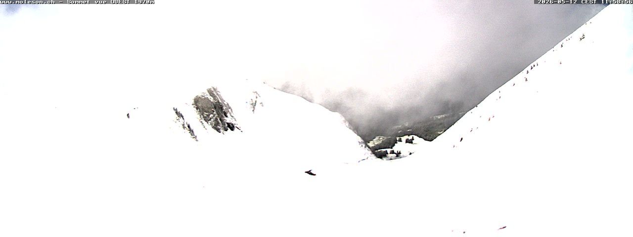 Moléson: Sommet