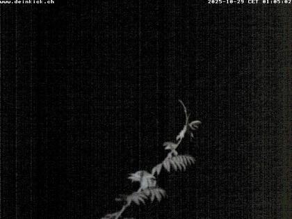 Langenbruck: Deinkick Solarbob Seilpark