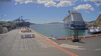 Dunedin › North-East: Port Chalmers - Main Container Whalf - Current
