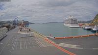 Dunedin › North-East: Port Chalmers - Main Container Whalf - Day time
