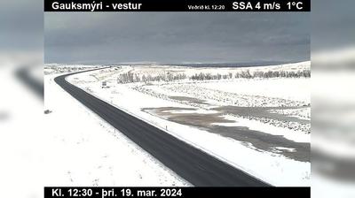 Daylight webcam view from Eastern Region: Gauksmýri