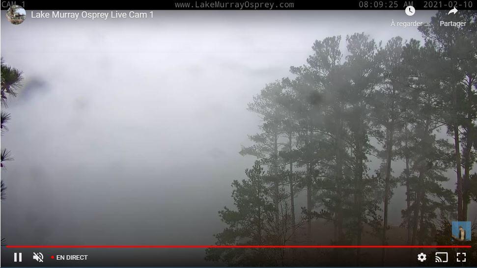 Traffic Cam Acapulco: Webcam de Lake Murray - USA