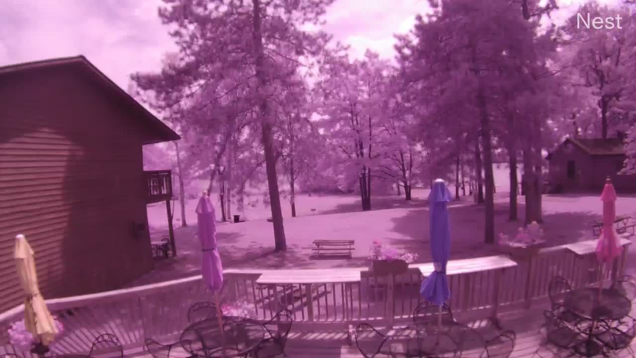 Traffic Cam Winter