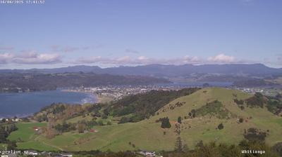 Coromandel today