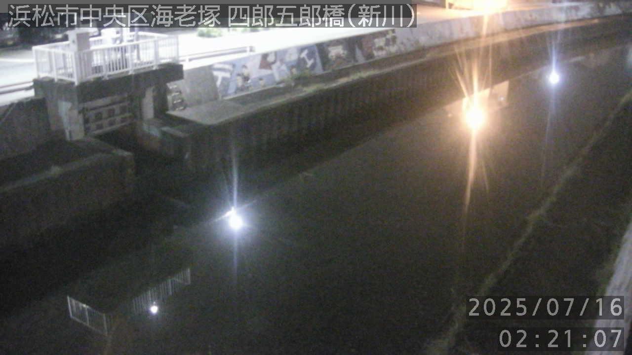Naka Ward: Aquatic Wonders Unveiled Webcam