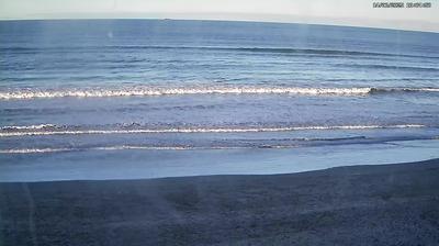 East Coastal: Beach & Water Views