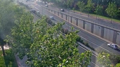 Lardero traffic webcam
