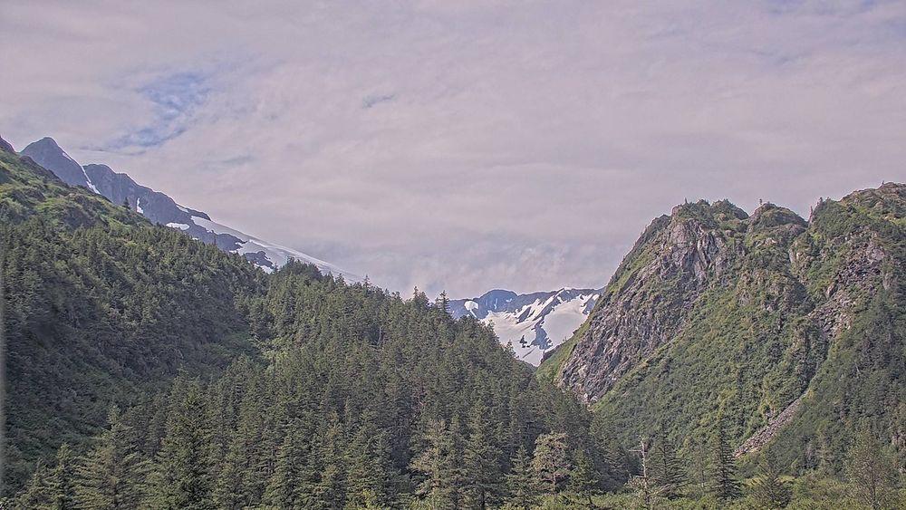 Whittier webcam