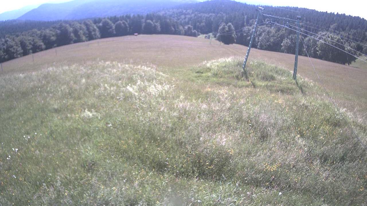 Denzlingen mountain Webcam