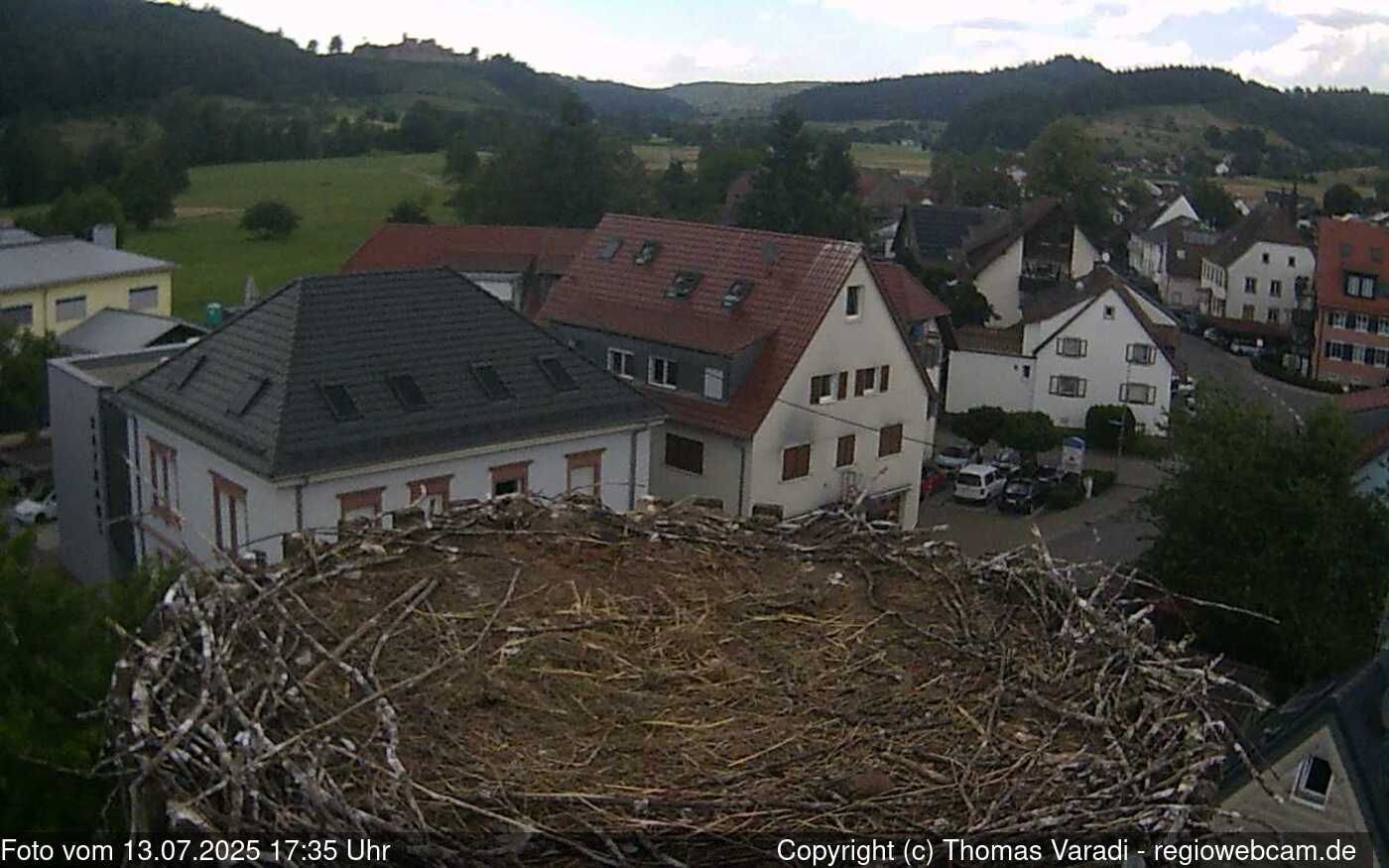 Traffic Cam Sexau: Sexauer Störche