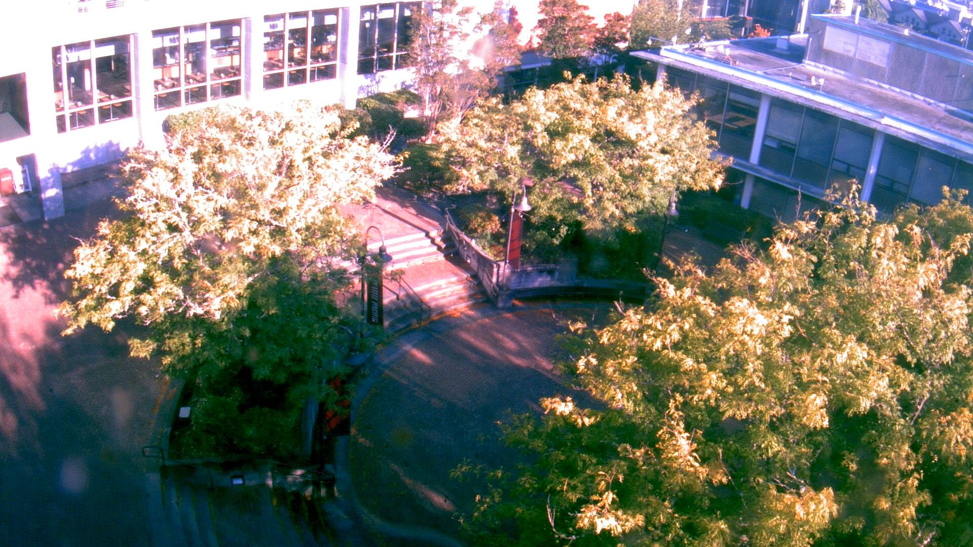 Traffic Cam Seattle: Pacific University - Martin Square
