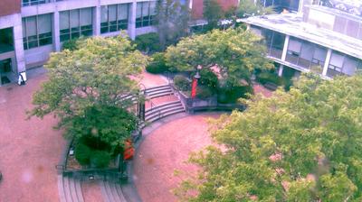 Martin Square: Scenic Seattle