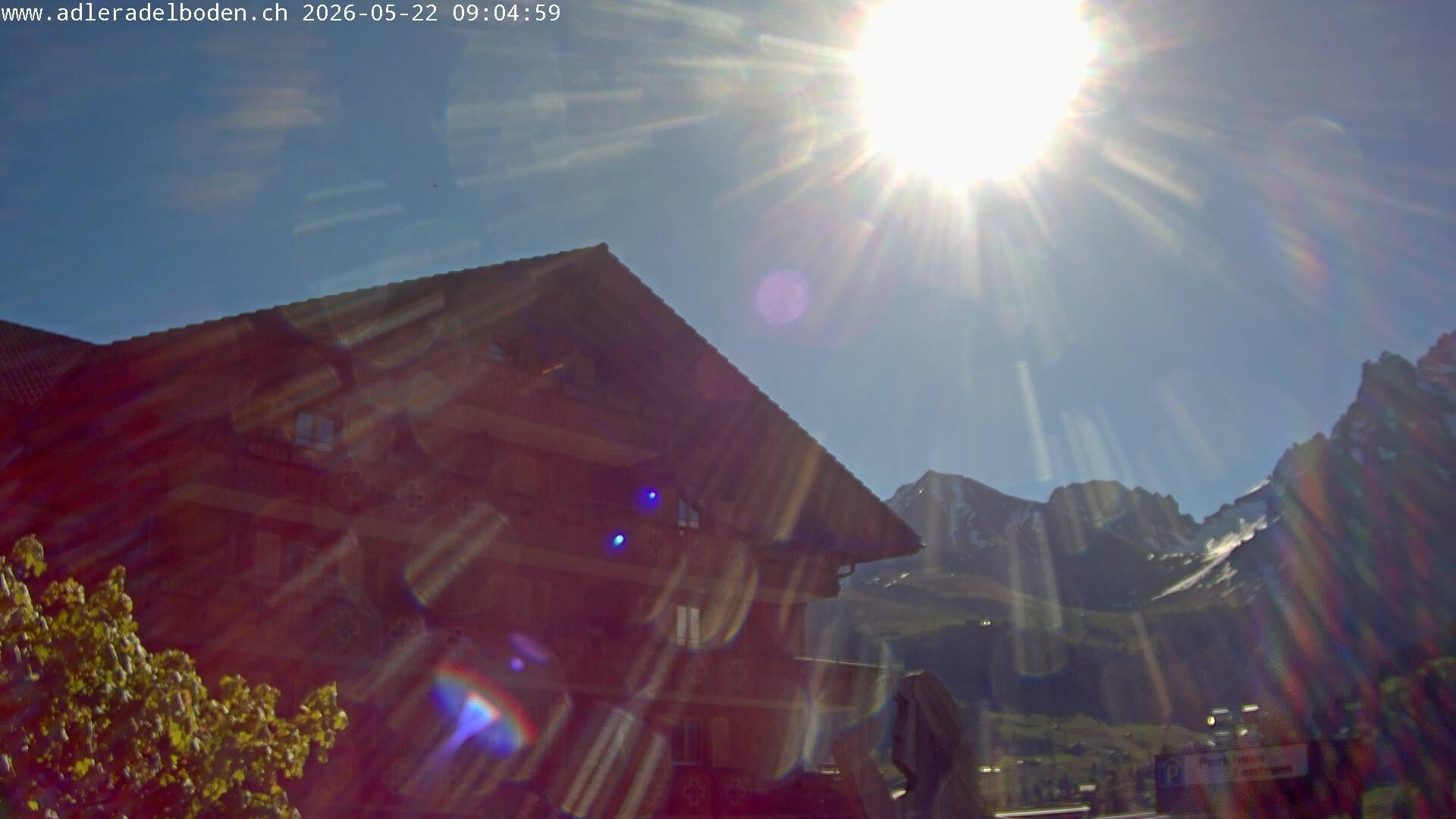 Adelboden: Adler