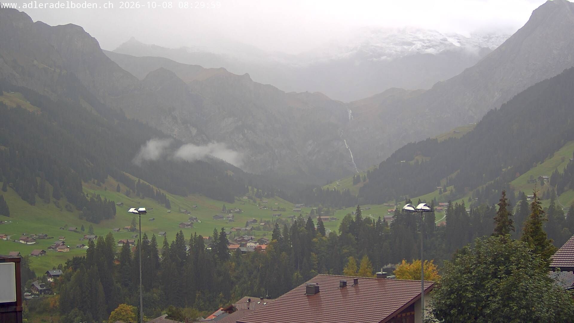 Adelboden: Adler
