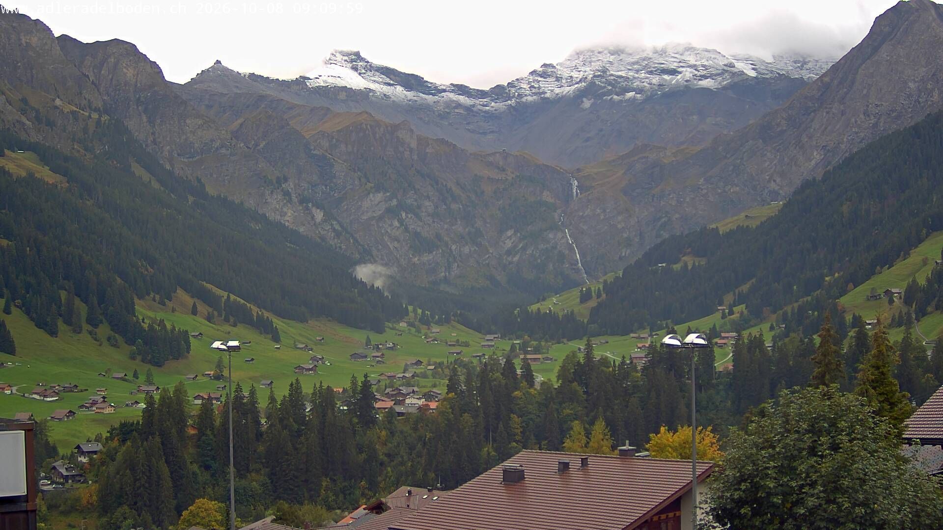 Adelboden: Adler