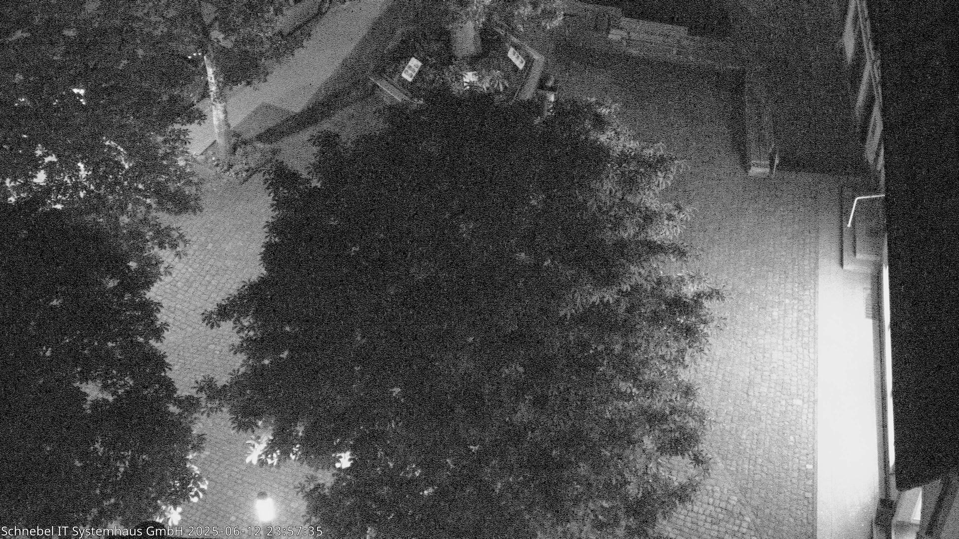 Schuttertal park Webcam