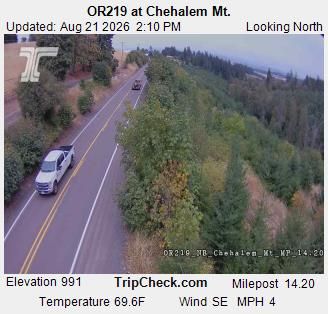 Traffic Cam Buckheaven: ORE219 at Chehalem Mt