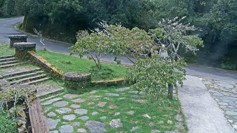 Alishan webcam