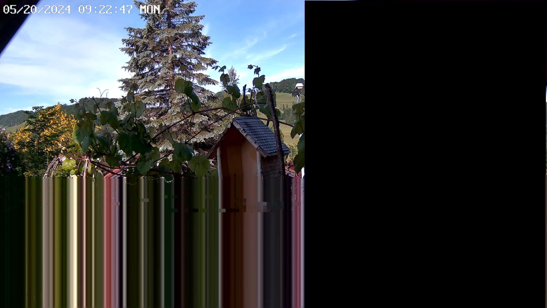 Traffic Cam Neckertal