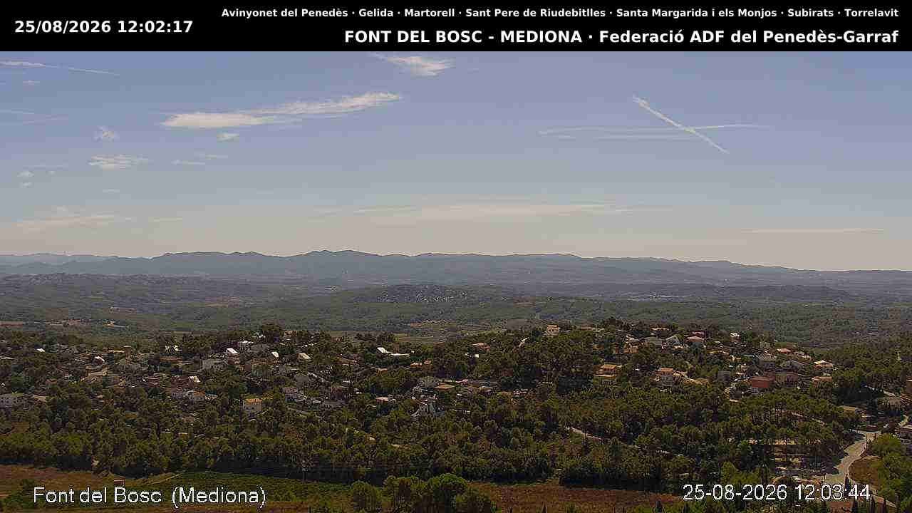 Traffic Cam Mediona