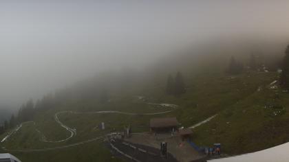 Stn. Oeschinen: Rodelbahn Oeschinensee - Berghotel Oeschinensee - Blüemlisalp - Schweizer Alpen-Club SAC