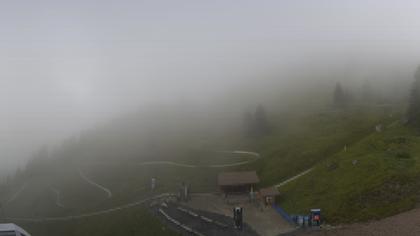 Stn. Oeschinen: Rodelbahn Oeschinensee - Berghotel Oeschinensee - Blüemlisalp - Schweizer Alpen-Club SAC