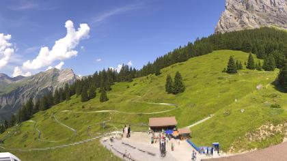 Stn. Oeschinen: Rodelbahn Oeschinensee - Berghotel Oeschinensee - Blüemlisalp - Schweizer Alpen-Club SAC