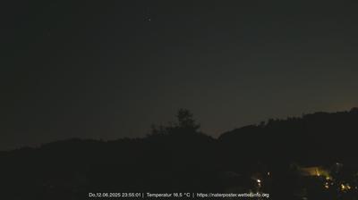 Alzing forest webcam