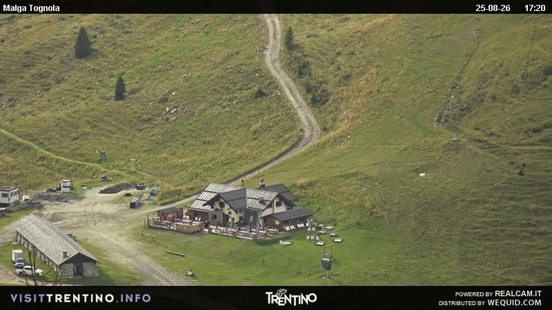 Traffic Cam San Martino di Castrozza: Punta Ces