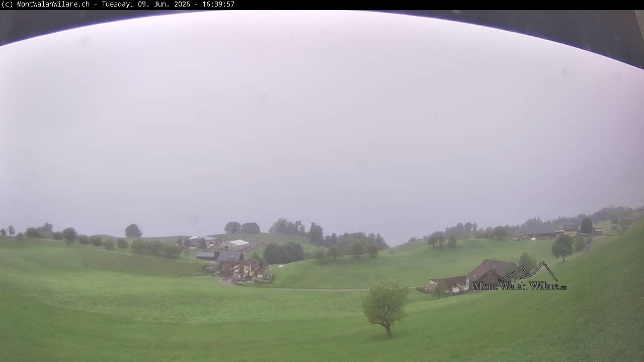 Walchwil › Westen: Halbinsel Chiemen - Zugersee