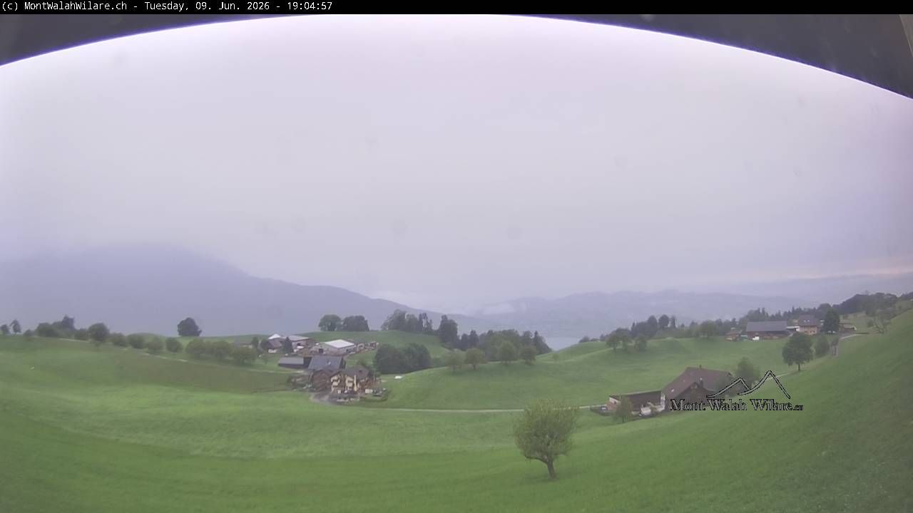 Walchwil › Westen: Halbinsel Chiemen - Zugersee