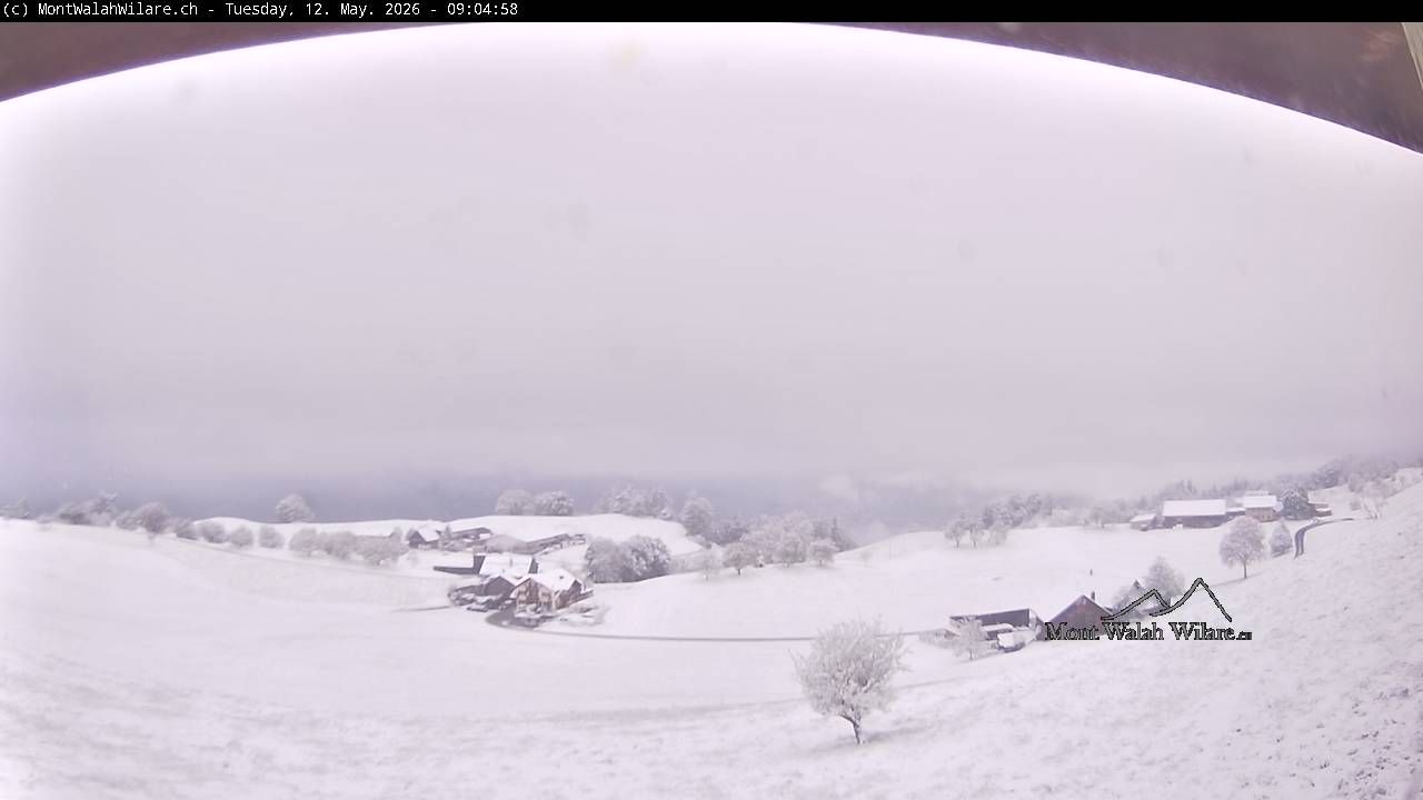 Walchwil: Walchwilerberg