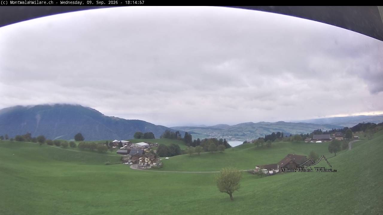 Walchwil › Westen: Halbinsel Chiemen - Zugersee