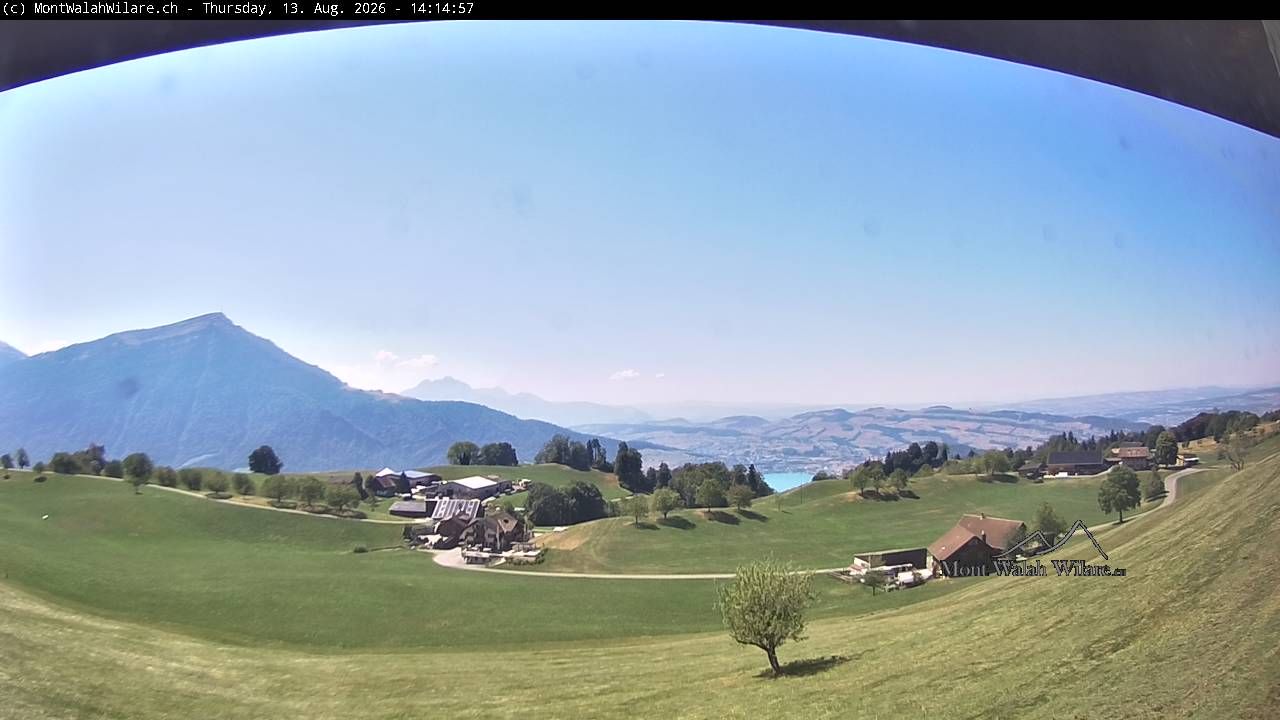 Walchwil › Westen: Halbinsel Chiemen - Zugersee