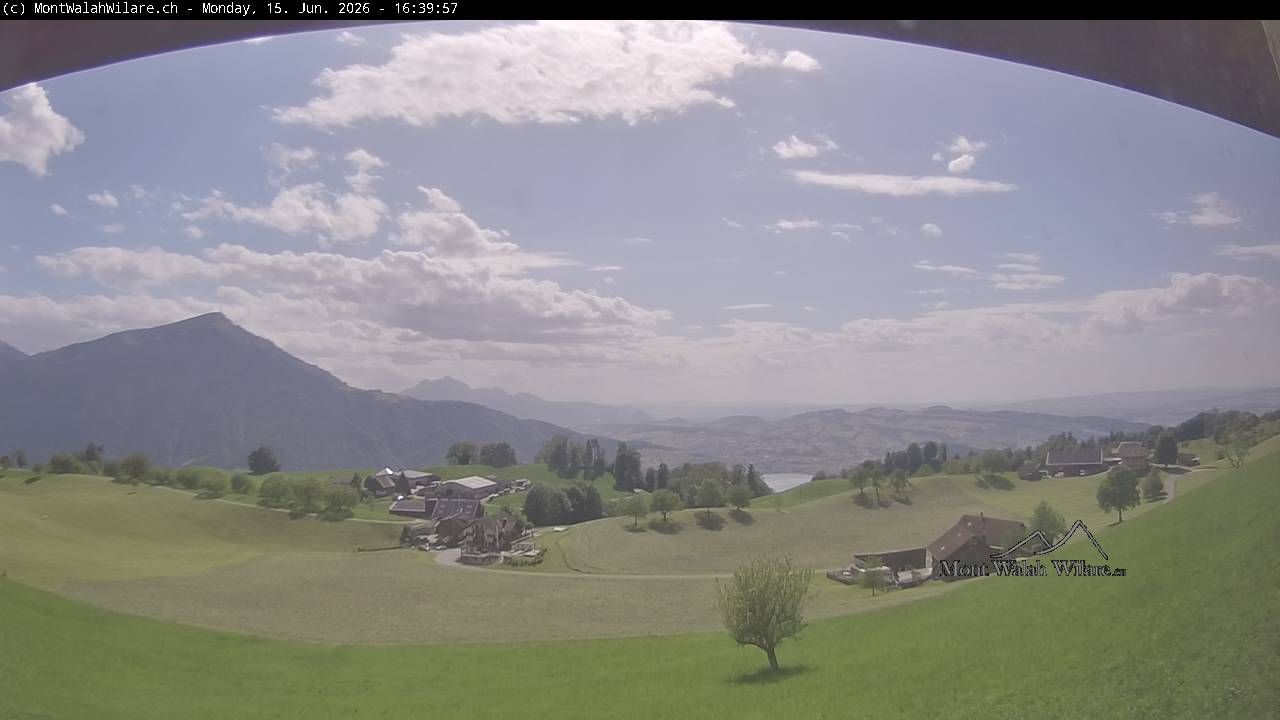 Walchwil › Westen: Halbinsel Chiemen - Zugersee