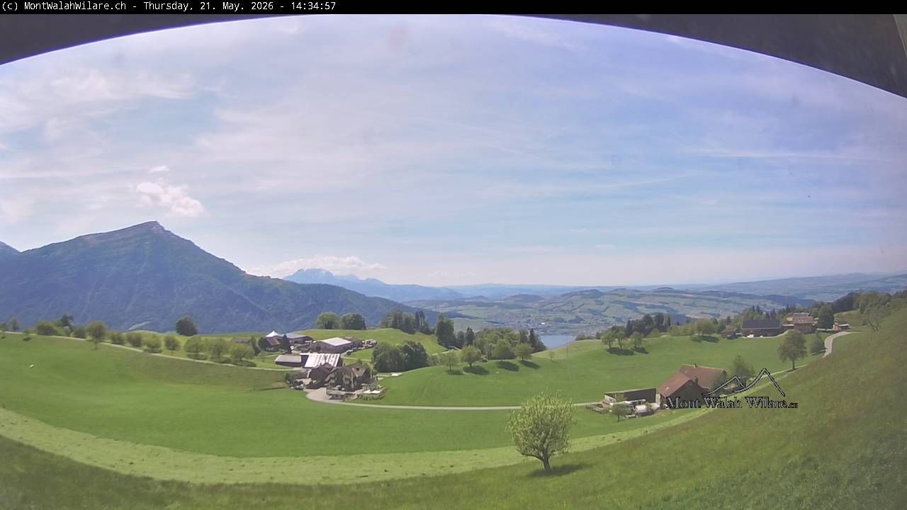 Walchwil › Westen: Halbinsel Chiemen - Zugersee