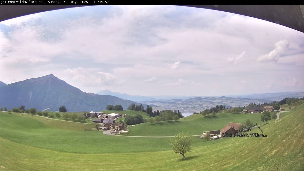 Walchwil › Westen: Halbinsel Chiemen - Zugersee