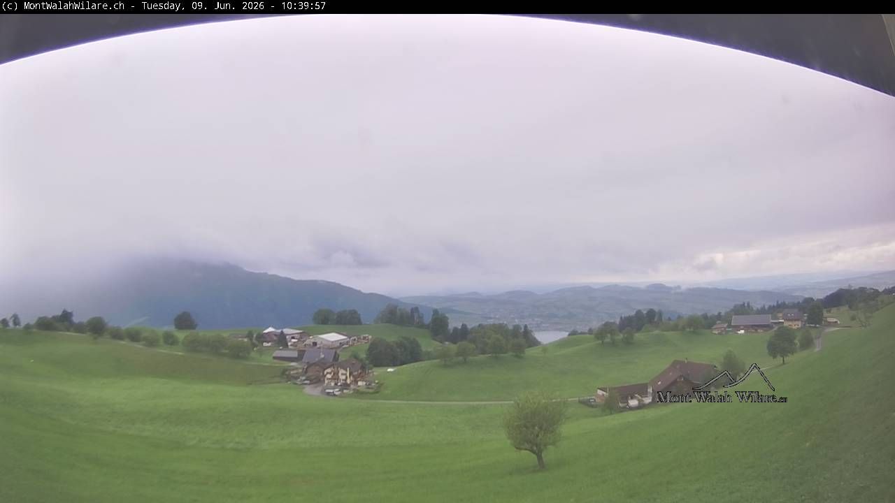 Walchwil › Westen: Halbinsel Chiemen - Zugersee