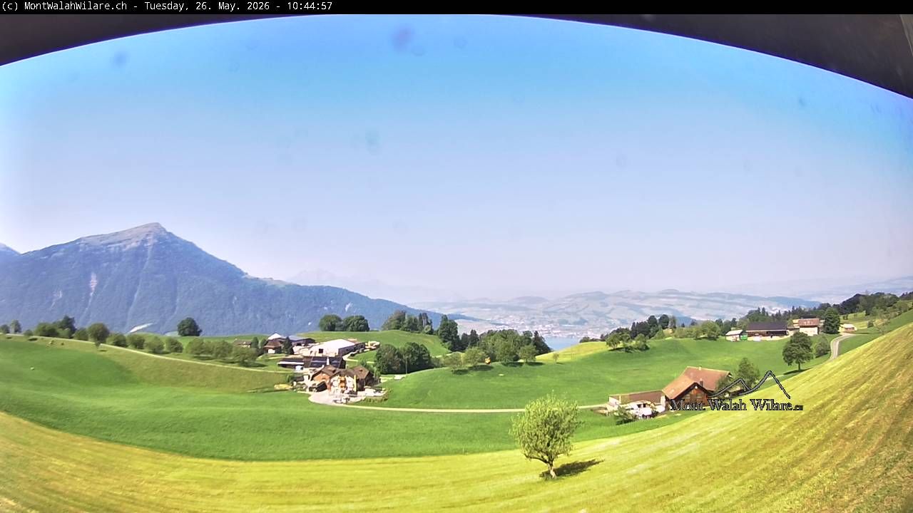 Walchwil › Westen: Halbinsel Chiemen - Zugersee