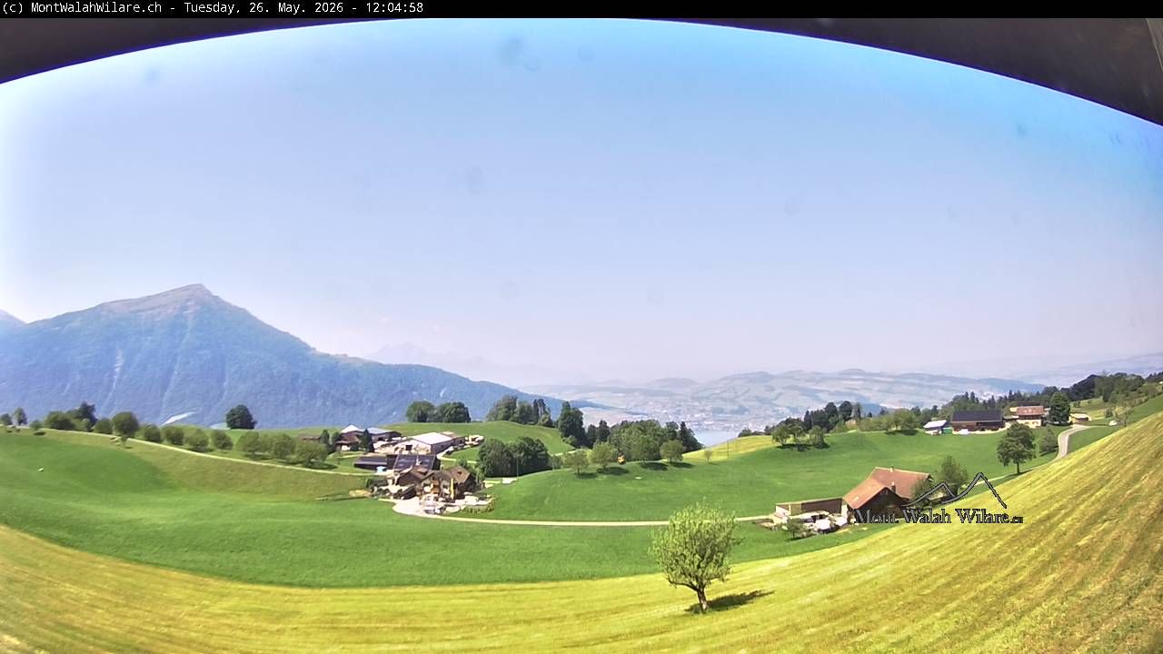 Walchwil › Westen: Halbinsel Chiemen - Zugersee