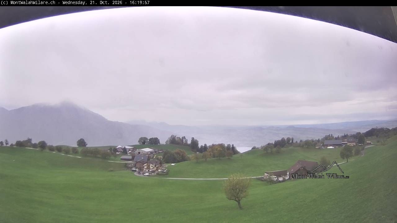 Walchwil › Westen: Halbinsel Chiemen - Zugersee