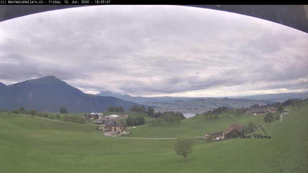 Walchwil › Westen: Halbinsel Chiemen - Zugersee